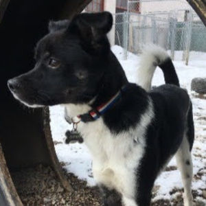 Meet your Posher, Deanndra